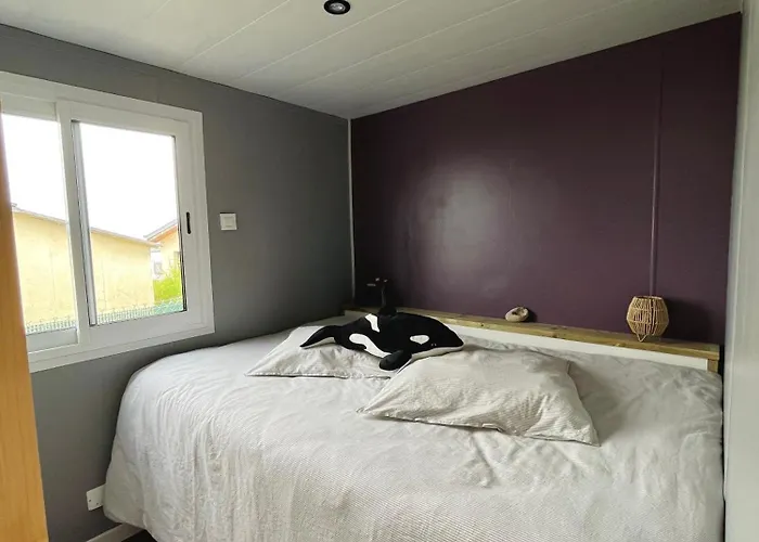 Le Ribeiro, Maison Vue Sur - 30m De La Saint-Côme-de-Fresné