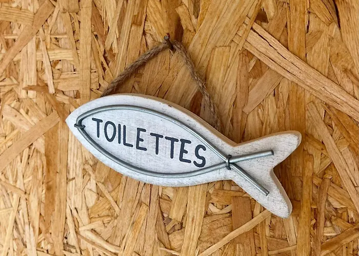 Le Ribeiro, Maison Vue Sur - 30m De La * Saint-Côme-de-Fresné